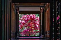 First time in Kamakura? Enjoy a Tour of All Must-sees!