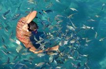 25 - Full Day Tour to Angra dos Reis and Ilha Grande
