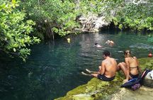 Explore the Mayan Jungle with ATV's. Ziplines & cenote included!