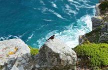 Private Tour : Hermanus Whale Watching and Wine
