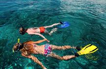 Snorkel the Perfect Tropical Isle Silk Caye with Turtles, Rays and Sharks