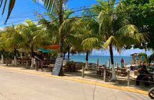 Roatan VIP Shore Excursion Island Tour and Beach