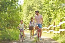 Electric bike excursion in Camargue