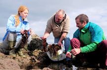 Food, heritage & cultural tour Inishmore, Aran Islands. Guided. 