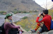 Day Trek To Majestic Atlas Mountains & Asoual Summit 2700m