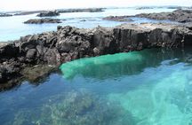 7-Day Galapagos Magic Expedition