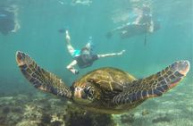 7-Day Galapagos Magic Expedition