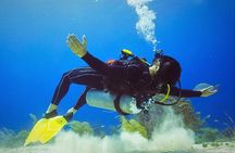 Chankanaab Scuba Diving