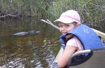 3 Hour Guided Mangrove Tunnel Kayak Eco Tour