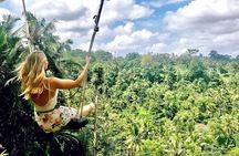 Ubud Sightseeing, Holy Water Temple & Waterfall