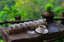 Ubud Sightseeing, Holy Water Temple & Waterfall