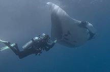 Open Water Diver Certification OWD