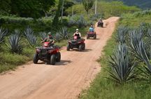 COMBO Zip lines and ATV´s at Hacienda Los Osuna
