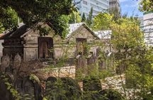 Male' City Tour - Language options (English/Spanish/French/Italian)
