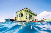 St. Thomas Lime Out Snorkel with Taco Bar Lunch & Swim-Up Bar - Ritz-Carlton