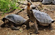 7-Day Galapagos Magic Expedition