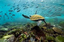 8-Day Galapagos Discovery