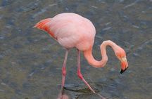 8-Day Galapagos Discovery