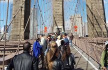 Private Guided Walking Tour of the Brooklyn Bridge and DUMBO
