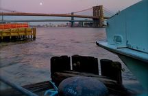 Private Guided Walking Tour of the Brooklyn Bridge and DUMBO