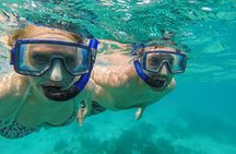 Turtles and Tacos Snorkel and Catamaran Sail from Westin St. John
