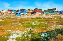 Discover Gems of Ilulissat: A Private Walking Tour