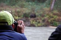 Full Day Grizzly Bear Tour to Toba Inlet