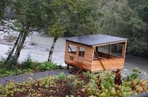 Full Day Grizzly Bear Tour to Toba Inlet