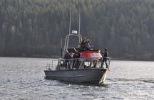 Full Day Grizzly Bear Tour to Toba Inlet