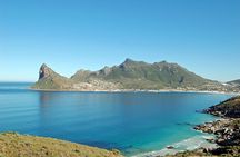 Best of Cape Town Cape Point and Wineries Combined Private Tour