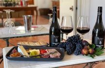 Tintilla Estate: Wine Tasting with a Meat and Cheese Platter