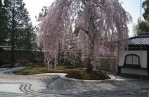 Personalized Half-day Tour in Kyoto for your family and friends.