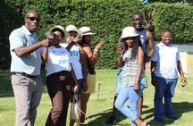 Private Visit To Constantia Wineries + Kirstenbosch Incl tickets