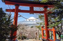 Private Car Tour to Mt. Fuji Lake Kawaguchiko or Hakone