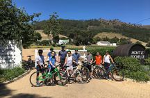 Franschhoek Cycle & Tasting Experience 4hr (Shared)