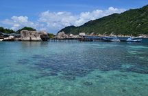 Koh Tao and Koh Nang Yuan Snorkeling Trip By Speedboat From Koh Samui