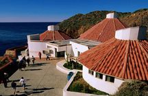 Ensenada Shore Excursion: City Tour & La Bufadora