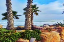 Ensenada Shore Excursion: City Tour & La Bufadora