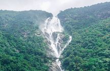 Private Tour to Goa and Dudhsagar Waterfalls with Lunch