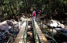 Private Dudhsagar waterfalls & Spice Plantation with Lunch from Mormugao Port