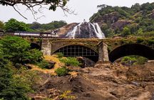 Private Tour to Goa and Dudhsagar Waterfalls with Lunch