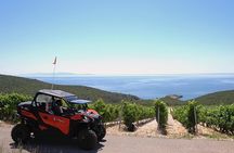Best of Korcula island winery's by 4X4 Canam buggys with lunch
