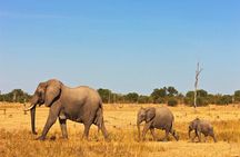 3 Days, 2 Nights Safari - Amboseli National Park and Tsavo West Adventure Safari