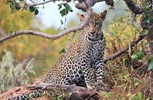 3 Days, 2 Nights Safari - Amboseli National Park and Tsavo West Adventure Safari