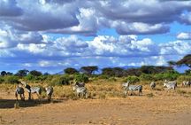 3 Days, 2 Nights Safari - Amboseli National Park and Tsavo West Adventure Safari