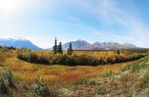 Arctic Day: Kluane National Park Tour | full day