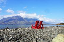 Arctic Day: Kluane National Park Tour | full day