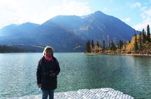 Arctic Day: Kluane National Park Tour | full day