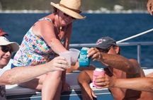 Turtles and Tacos Snorkel and Catamaran Sail from Westin St. John