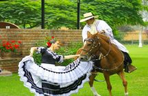 Dancing Horse Show & Lunch Buffet + Pachacamac Inca Remains
